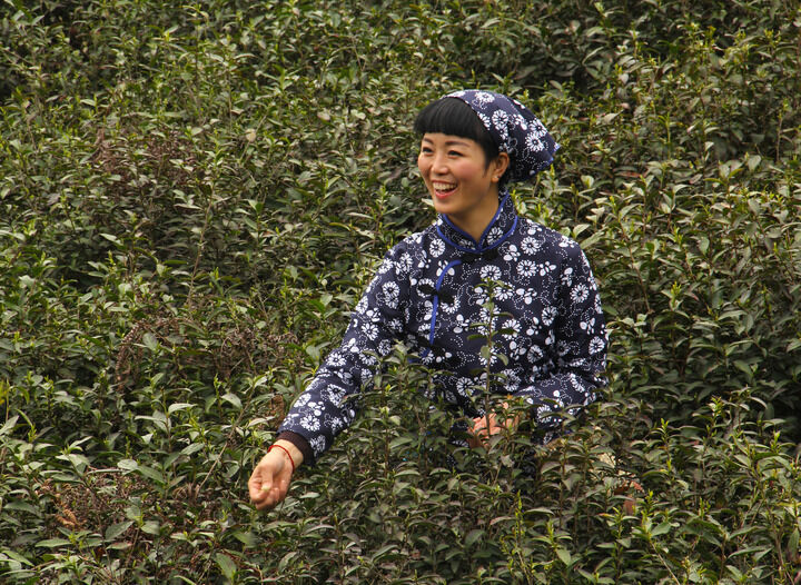 资讯8